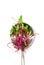 Microgreen beets on a white background isolate. Selective focus.