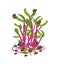 Microgreen. Healthy nutrition and diet. Sprouted seeds. Close-up.