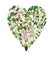Microgreen. Heart made of microgreen sprouts.