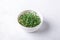 Microgreen mustard sprouts in bowl on white background. Micro greens growing. Healthy eating concept. Close-up