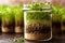 microgreen seedlings sprouting from soil in a glass jar