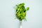 Microgreen sprouts watercress lettuce a on a white background. Selective focus