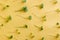 Microgreen texture green yellow background. Vegan bio eco natural food pattern. Microgreens are super food rich vitamins and nutri