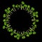 Microgreens Basil. Arranged in a circle. Black background