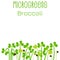 Microgreens Broccoli. Seed packaging design. Sprouting seeds of a plant