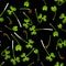 Microgreens Chinese Cabbage. Sprouting seeds of a plant. Seamless pattern. Vitamin supplement, vegan food