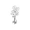 Microgreens clover plant small bunch, vector engraved hand drawn natural organic healthy herb, raw sprouts with leaves