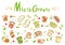 Microgreens.Microgreen sandwich.Seamless pattern on a white background