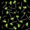 Microgreens Pak Choi. Sprouting seeds of a plant. Seamless pattern. Vitamin supplement, vegan food