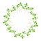 Microgreens Purslane. Arranged in a circle. White background