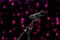 Microphone close up shot on blurred bokeh Purple Pink background beautiful romantic or glitter lights circle soft on dark