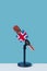 microphone with the flag of the UK in a stand