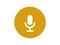 Microphone icon. Audio recording symbol for the website