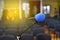 Microphone over the blurred business conference hall or seminar