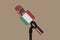 microphone patterned with the italian flag