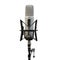 Microphone for voice recording. Isolated.