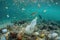 microplastic pollution in a marine ecosystem, with fish and other creatures among the debris