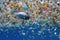 microplastic pollution in the ocean, with fish swimming among plastic beads
