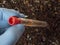 Microplastics in soil a test tube with soil sample