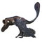 Microraptor dinosaur 3D isolated