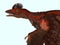 Microraptor Dinosaur Head