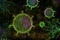 Microscope flu corona viruses on dark background