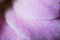 Microscope image of violet flower petal cells