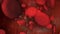 Microscopic blood red cells with DOFF and Alpha, stock footage