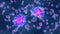 Microscopic Cell Division of Ð¡oronavirus