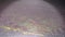 Microscopic image 40x of simple squamous epithelium filmed with oblique illumination