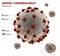 Microscopic view of Coronavirus, virus study and vaccine research. A pathogen that attacks the respiratory tract