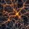 A microscopic view of intricate neural connections in the human brain, illustrating its complexity2