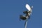 Microwave News Dish