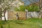 Mid adult man cleaning a wooden gate with a power washer. High water pressure cleaner used to DIY repair garden gate.