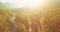 Mid air flight over fresh mountain river and meadow at sunny summer morning. Rural dirt road below.