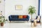 Mid-century modern chair with a blanket and a large sofa with colorful cushions in a spacious living room interior with green plan