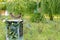 Mid close up of two beautiful myna standing on metal cage against flower plants trees in the background. bird concept