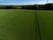 Mid level aerial view over a wheat arable crop field in rural England farmland