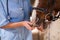 Mid section of female vet checking horse teeth