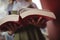 Mid-section of schoolgirl reading book in library