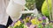 Mid section of senior African American woman wearing watering plants in the garden