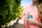 Mid section of woman cutting grapes through pruning shears at vineyard