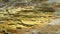 Midday close up of mound spring terraces at mammoth hot springs in yellowstone national park