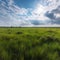 Midday Majesty on the Rolling Prairie