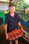 Middle age Farmer man collects cherry tomatoes with scissors harvest prepared in boxes for sale in the greenhouse family business