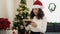 Middle age hispanic woman looking photo standing by christmas tree at home