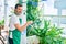 Middle age man with beard smiling happy watering the plants at the terrace