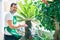 Middle age man with beard smiling happy watering the plants at the terrace