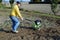 Middle age man with a rototiller