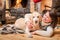 Middle-aged Asian woman embraces Labrador dog lying on blanket in front of fireplace in a country house